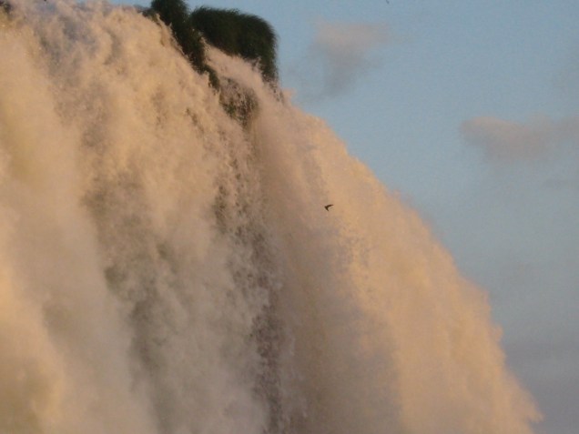 Speaking of Animals, do you see the bird flying INTO the waterfall? These birds have their nests on the inside and could be seen diving in and out of the falls all evening.