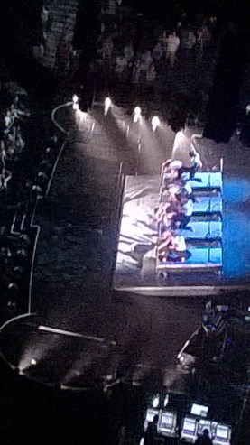 It took some time to be sure, examining this dance interlude through our binoculars...