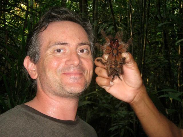 br-animals-tarantual8