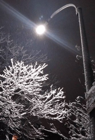 Screen Shot 2017-12-10 at 2.07.28 PM