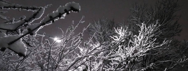 Screen Shot 2017-12-10 at 2.09.15 PM