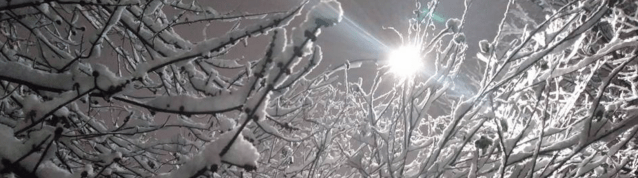 Screen Shot 2017-12-10 at 2.09.52 PM