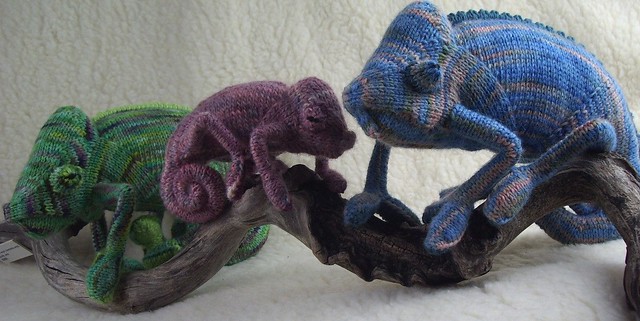 chameleons