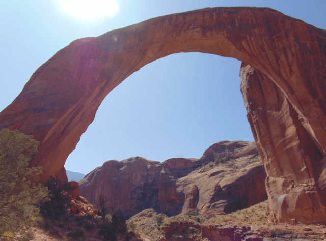 Screen Shot 2020-04-04 at 10.29.12 AM