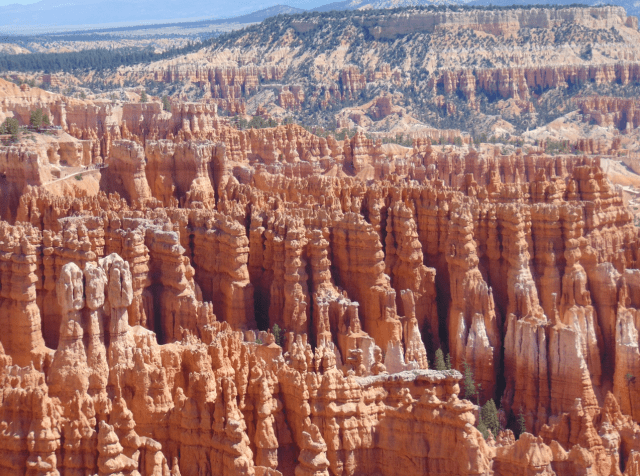 Screen Shot 2020-04-13 at 10.05.44 AM