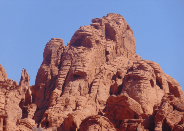 Screen Shot 2020-04-20 at 8.54.53 AM