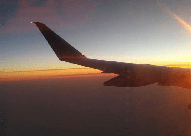 Screen Shot 2020-05-04 at 9.17.17 AM